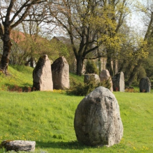 Respublikinis Vaclovo Into akmenų muziejus